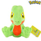 Peluches Pokemon