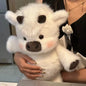 Peluches qui courent